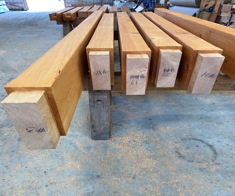 photo5